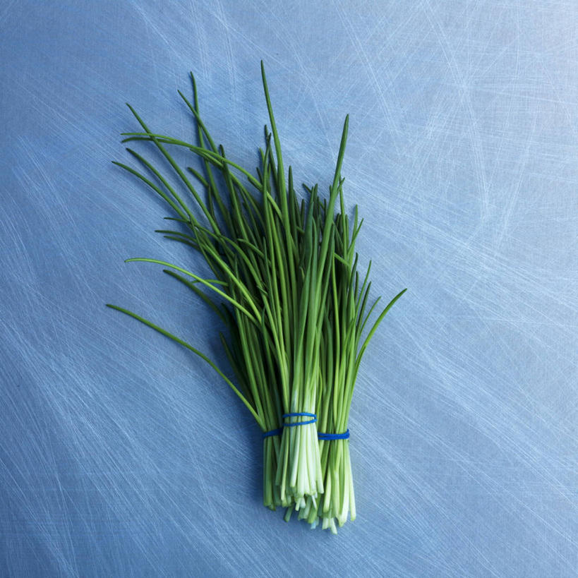 无人,方图,俯视,室内,特写,白天,植物,叶子,许多,阴影,蓝色背景,反射,影子,葱,绿叶,草药,药草,中药,绿色,自然,绳子,嫩叶,摄影,影棚,生长,成长,捆绑,绳索,细香葱,香葱,药材,中草药,中药材,本草,绑缚,叶,叶片,彩图,高角度拍摄,影棚拍摄,拍摄