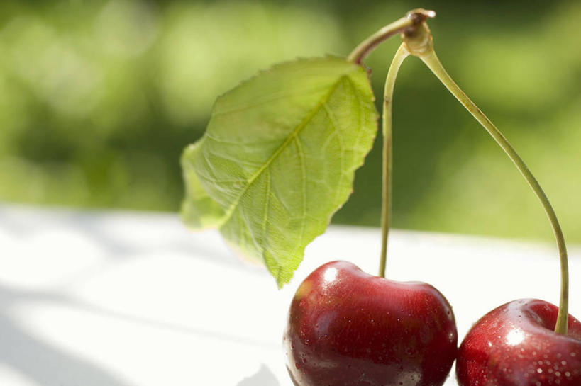 无人,横图,俯视,室外,特写,白天,草地,草坪,植物,桌面,桌子,樱桃,水果,叶子,阴影,朦胧,模糊,新鲜,反射,木制,影子,生食,食品,果实,绿叶,草,食物,两个,红色,绿色,木制品,嫩叶,有机食品,绿色食品,叶,叶片,樱珠,莺桃,英桃,楔桃,牛桃,荆桃,彩图,高角度拍摄