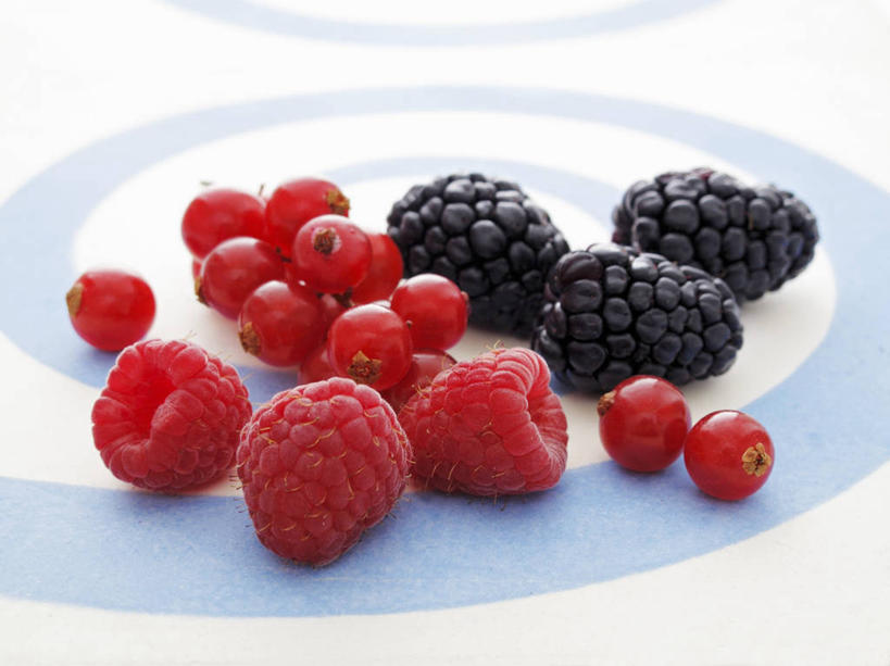 无人,横图,俯视,室内,特写,白天,餐桌,桌子,浆果,黑莓,水果,一堆,许多,阴影,堆叠,堆积,新鲜,反射,影子,灯笼果,桑葚,生食,食品,果实,食物,红色,黑色,覆盆子,摄影,有机食品,绿色食品,影棚,餐台,堆,红醋栗,露莓,醋栗,彩图,高角度拍摄,影棚拍摄,拍摄