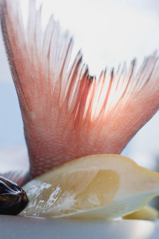 海鲜,无人,竖图,俯视,室内,特写,白天,桌面,桌子,柠檬,水果,阴影,朦胧,模糊,新鲜,反射,木制,鱼,影子,肉,生食,鱼肉,食品,果实,水产,肉类,鱼类,海洋生物,食物,木制品,有机食品,绿色食品,水生动物,海产品,水生物,肉食,海底动物,益母果,柠果,彩图,高角度拍摄