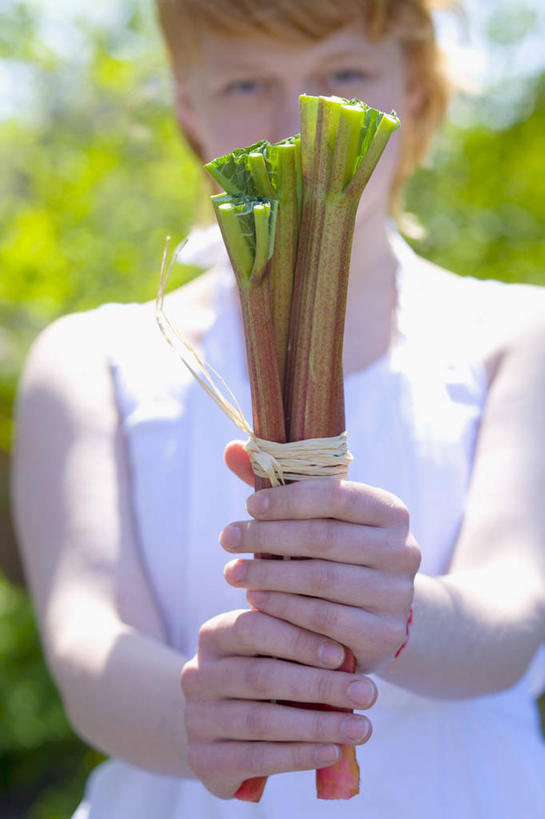 西方人,儿童,一个人,站,竖图,室外,白天,正面,纯洁,植物,叶子,欧洲,欧洲人,仅一个女性,仅一个人,握,阴影,服装,朦胧,模糊,光线,影子,绿叶,草药,药草,拿,拿着,注视,中药,小孩,衣服,绿色,阳光,观察,看,站着,仅一个小孩,嫩叶,可爱,童年,童趣,握着,服饰,观看,察看,衣着,穿着,关注,药材,中草药,童真,烂漫,无邪,大黄,中药材,本草,衣饰,川军,蜀大黄,熟大黄,天真,女孩,女人,女性,白种人,孩子,叶,叶片,站立,半身,彩图,女生