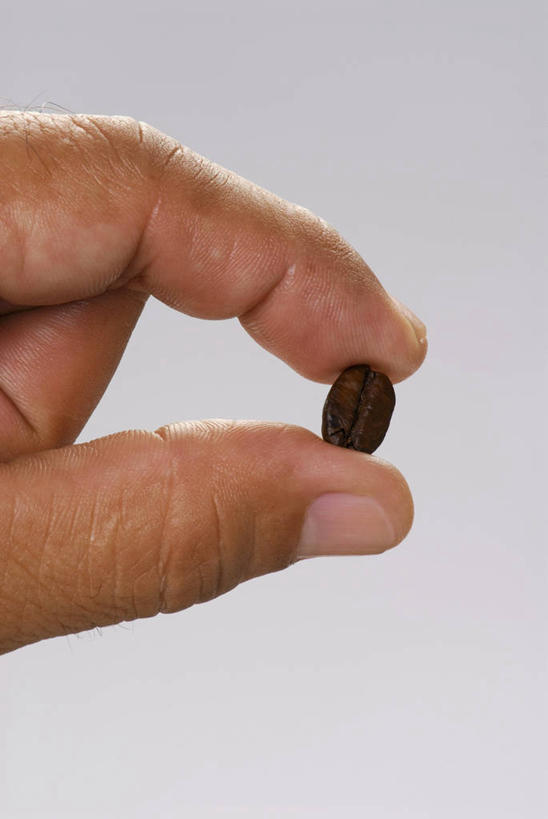 咖啡,西方人,手,一个人,竖图,室内,特写,白天,正面,植物,豆,欧洲,欧洲人,仅一个男性,仅一个人,握,阴影,灰色背景,反射,影子,豆类,豆子,拿,拿着,仅一个年轻男性,一个,咖啡豆,手部,握着,摄影,影棚,单个,单手,豆科,咖啡因,男人,男性,年轻男性,白种人,半身,彩图,影棚拍摄,拍摄