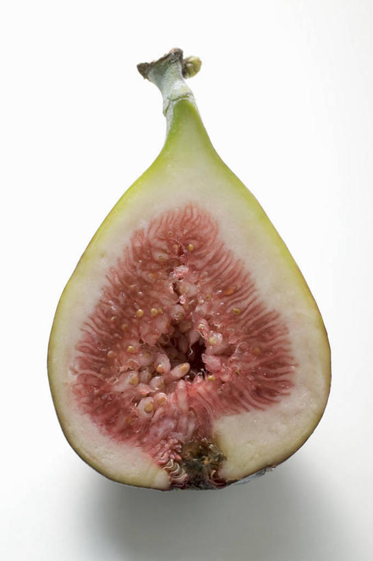 无人,竖图,俯视,室内,特写,白天,白色背景,无花果,水果,切开,阴影,新鲜,反射,纹路,纹理,影子,生食,食品,果实,半个,食物,红色,切,一半,摄影,有机食品,绿色食品,影棚,剖面,切面,肌理,映日果,树地瓜,奶浆果,蜜果,彩图,高角度拍摄,影棚拍摄,拍摄