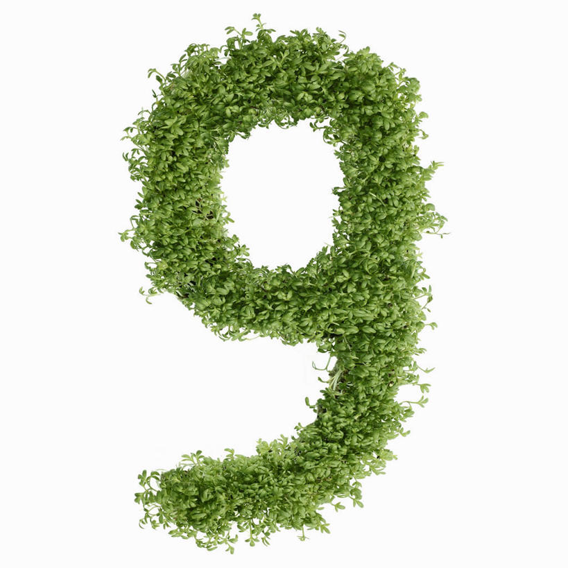 无人,方图,俯视,室内,特写,白天,白色背景,植物,桌面,桌子,芹菜,蔬菜,叶子,阴影,新鲜,反射,木制,标志,数字,文字,纹理,影子,字符,食品,绿叶,标识,食物,绿色,木制品,嫩叶,摄影,阿拉伯数字,有机食品,绿色食品,影棚,肌理,根芹菜,根洋芹,球根塘蒿,叶,叶片,叶脉,药芹,水芹,旱芹,彩图,高角度拍摄,影棚拍摄,拍摄