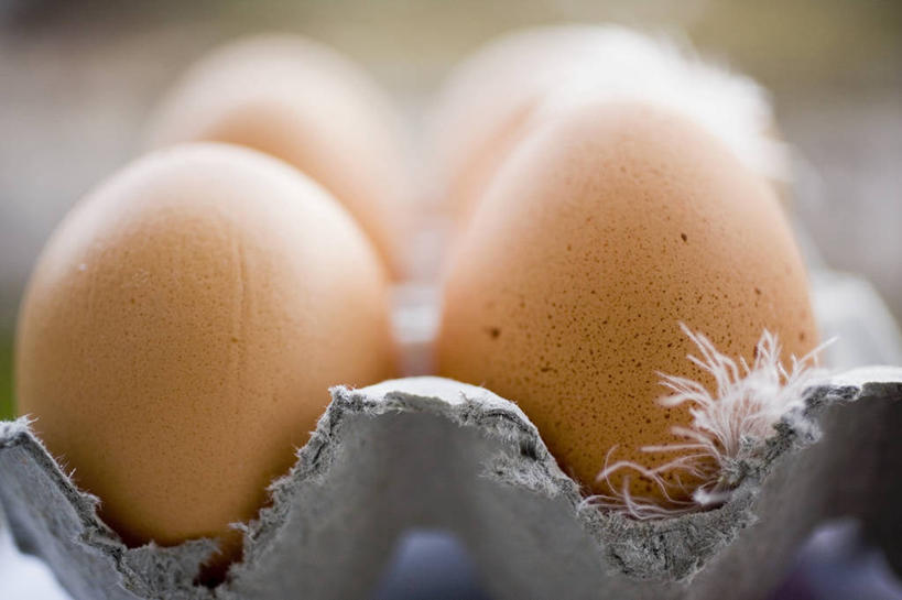 无人,横图,俯视,室内,特写,白天,桌面,桌子,羽毛,一排,阴影,环保,朦胧,模糊,轻盈,柔软,整齐,并列,并排,反射,木制,蛋格,影子,蛋,鸡蛋,排列,一个,木制品,能源,单个,回收,资源,队列,平行,利用,低碳,鸡蛋盒,循环,鸡蛋格,蛋托,轻柔,蛋盒,卵,持续,彩图,高角度拍摄