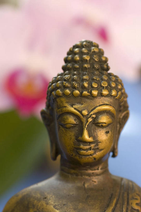 东方人,一个人,无人,闭眼,竖图,室内,特写,白天,正面,叶子,雕塑,亚洲,仅一个男性,仅一个人,仅一个中年男性,节日,朦胧,模糊,艺术,装饰,盛开,雕刻,雕像,绿叶,花蕾,黄种人,文化,花,花瓣,花朵,鲜花,粉色,工艺品,花苞,花蕊,祈祷,健康,金色,嫩叶,许愿,宗教,佛教,信仰,纪念,祈求,美术,主题,陈列,一尊,功能,美学,释教,平安,男人,男性,中年男性,亚洲人,叶,叶片,闭眼睛,闭着眼,闭着眼睛,半身,彩图