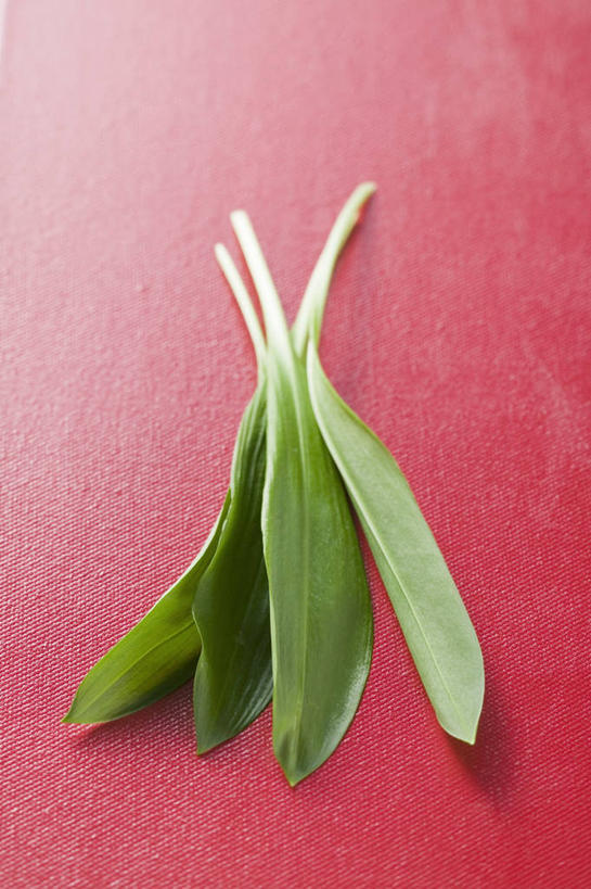 无人,竖图,俯视,室内,特写,白天,餐桌,桌子,蔬菜,叶子,阴影,红色背景,新鲜,反射,影子,食品,绿叶,食物,嫩叶,摄影,有机食品,绿色食品,影棚,餐台,菜芝,山蒜,小根菜,小根蒜,薤白,野葱,野蒜,野小蒜,叶,叶片,彩图,高角度拍摄,影棚拍摄,拍摄