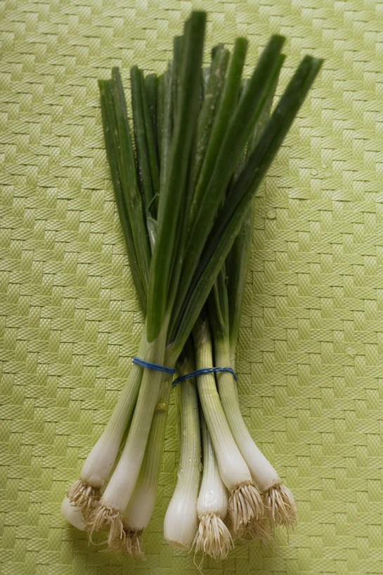 无人,竖图,俯视,室内,特写,白天,桌面,桌子,蔬菜,绿色背景,阴影,新鲜,反射,木制,影子,葱,青葱,食品,食物,绿色,木制品,绳子,摄影,有机食品,绿色食品,影棚,绳索,彩图,高角度拍摄,影棚拍摄,拍摄