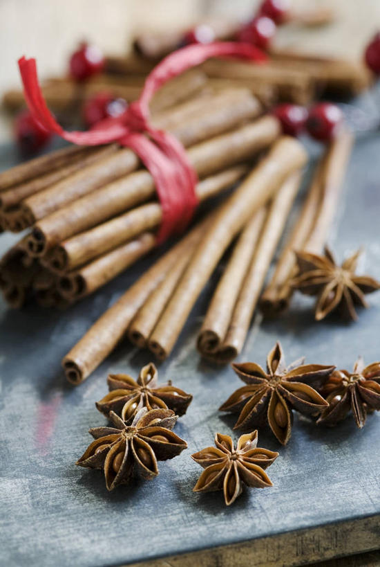 无人,竖图,俯视,室内,特写,白天,桌面,桌子,阴影,朦胧,模糊,装饰,反射,木制,丝绸,丝带,影子,调味,香料,佐料,缎带,肉桂,绸带,红色,木制品,茴香,华丽,修饰,点缀,八角,八角茴香,大茴香,配料,桂皮,八月珠,舶茴香,大料,作料,衬托,美观,雅致,雅观,官桂,牡桂,筒桂,香桂,玉桂,彩图,高角度拍摄