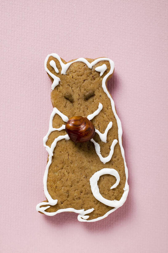 点心,无人,竖图,俯视,室内,特写,白天,餐桌,桌子,圣诞节,一块,阴影,粉色背景,节日,庆祝,反射,影子,食品,坚果,甜点,果实,文化,食物,糕点,饼干,甜食,干果,零食,松鼠,庆典,摄影,影棚,餐台,纪念,榛子,姜饼,山板栗,德式姜饼,彩图,高角度拍摄,影棚拍摄,拍摄