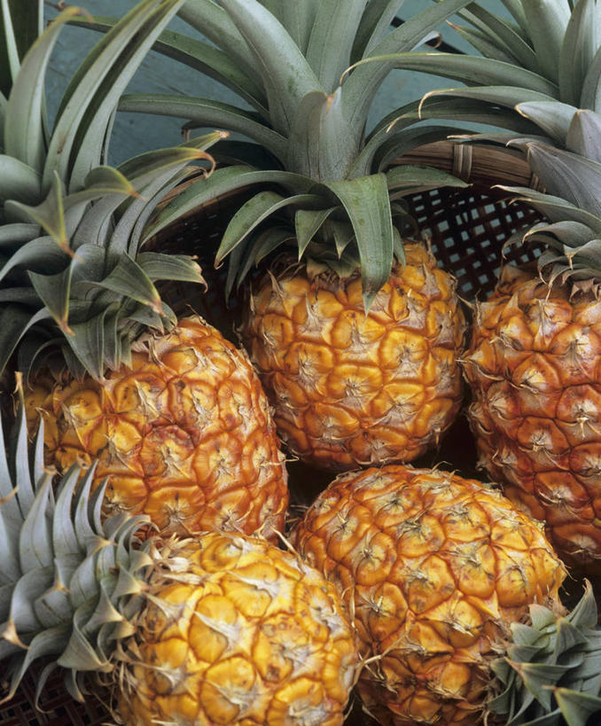 无人,竖图,俯视,室内,特写,白天,餐桌,桌子,菠萝,水果,叶子,五个,许多,阴影,新鲜,反射,影子,生食,食品,果实,绿叶,食物,黄色,绿色,嫩叶,有机食品,绿色食品,餐台,叶,叶片,凤梨,彩图,高角度拍摄