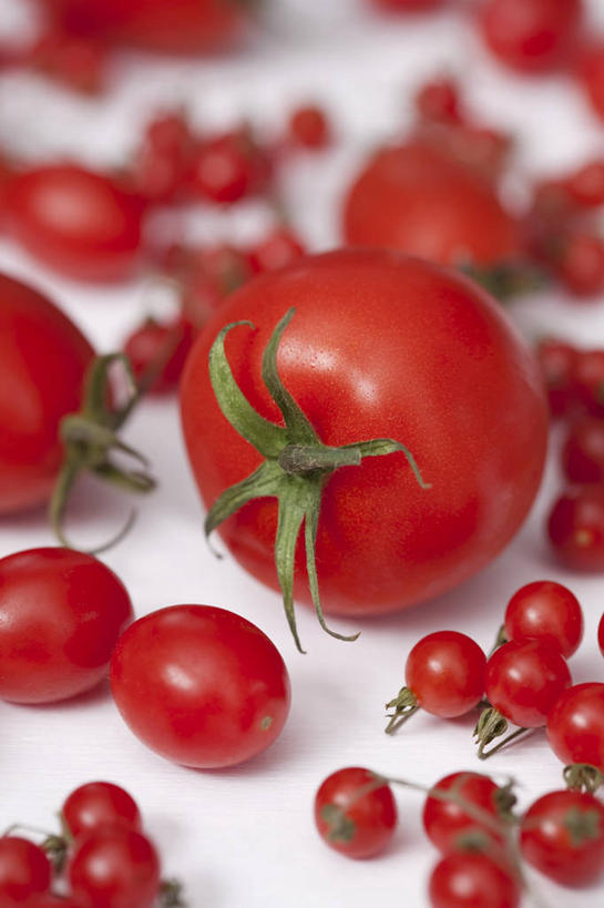 无人,竖图,俯视,室内,特写,白天,白色背景,餐桌,桌子,蔬菜,西红柿,小番茄,许多,阴影,朦胧,模糊,新鲜,反射,影子,食品,很多,食物,红色,摄影,有机食品,绿色食品,影棚,餐台,小西红柿,樱桃小番茄,珍珠小番茄,樱桃番茄,圣女果,番茄,彩图,高角度拍摄,影棚拍摄,拍摄