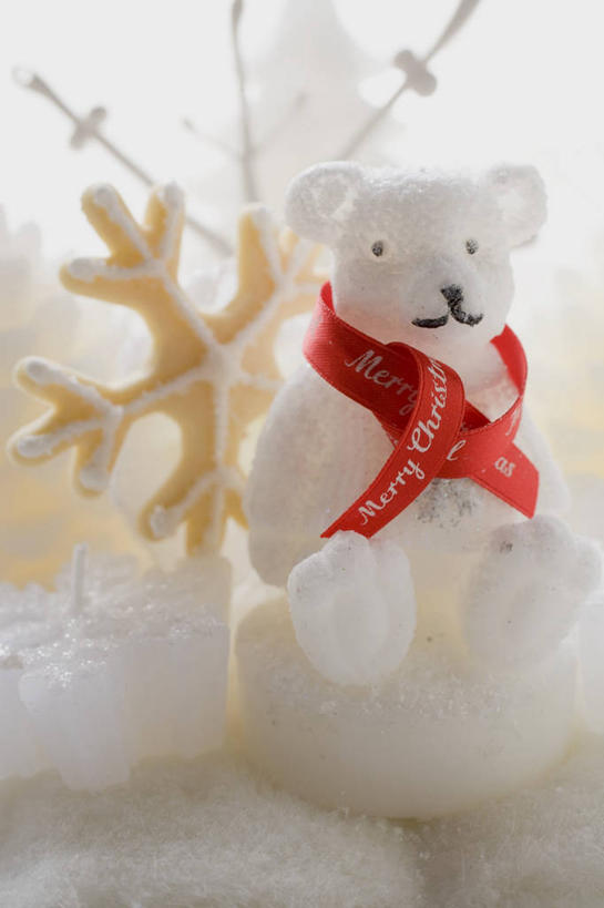 点心,无人,竖图,俯视,室内,特写,白天,野生动物,熊,蜡烛,圣诞节,阴影,节日,庆祝,装饰,反射,丝绸,丝带,影子,雪花,食品,缎带,曲奇,文化,绸带,食物,红色,动物,饼干,零食,庆典,可爱,活泼,纪念,华丽,修饰,点缀,曲奇饼,曲奇饼干,衬托,美观,雅致,雅观,烛炬,彩图,高角度拍摄,全身