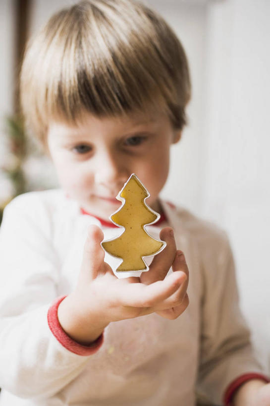 点心,西方人,儿童,一个人,笑,微笑,竖图,室内,白天,正面,毛衣,纯洁,植物,欧洲,圣诞节,欧洲人,仅一个男性,仅一个人,握,阴影,服装,节日,朦胧,模糊,庆祝,反射,影子,食品,圣诞树,曲奇,注视,休闲装,文化,树,树木,食物,一个,小孩,衣服,绿色,自然,饼干,零食,观察,看,仅一个小孩,庆典,休闲,休闲服,可爱,童年,童趣,握着,服饰,生长,单个,成长,观看,纪念,察看,关注,线衫,曲奇饼,童真,曲奇饼干,烂漫,无邪,天真,男孩,男人,男性,白种人,孩子,半身,彩图,绒衣,套衫,套头毛衣,线衣,男生