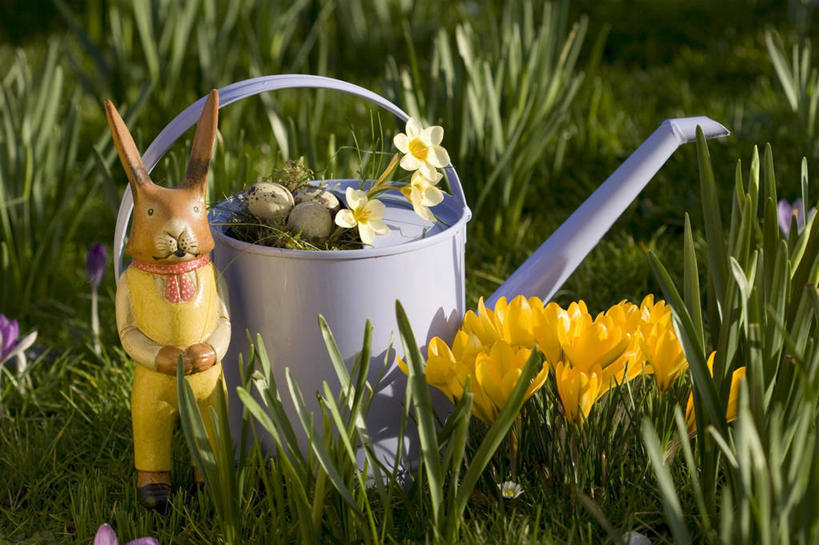 无人,站,横图,俯视,室外,特写,白天,快乐,草地,草坪,美景,植物,哺乳动物,雕塑,阴影,朦胧,模糊,艺术,装饰,盛开,光线,兔子,雕刻,雕像,壶,影子,景观,花蕾,洒水壶,注视,藏红花,水壶,草,花,花瓣,花朵,鲜花,一只,黄色,绿色,阳光,自然,动物,工艺品,花苞,花蕊,观察,看,站着,景色,观看,纪念,保护,兔,美术,番红花,察看,关注,自然风光,主题,陈列,西红花,功能,美学,浇水壶,站立,彩图,高角度拍摄,全身