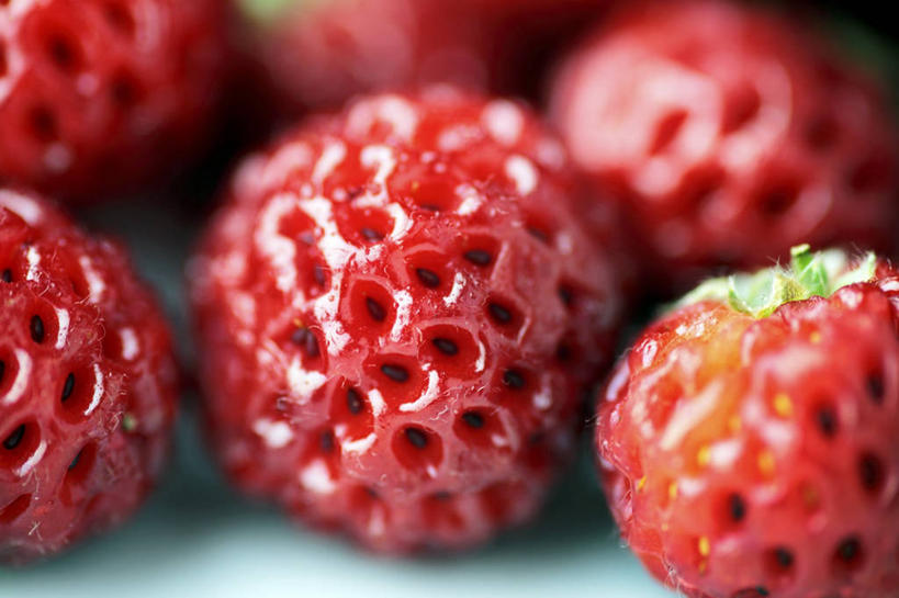 无人,横图,俯视,室内,特写,白天,餐桌,桌子,草莓,浆果,水果,许多,阴影,朦胧,模糊,新鲜,反射,影子,生食,食品,果实,食物,红色,有机食品,绿色食品,餐台,洋莓,水果皇后,红莓,地莓,彩图,高角度拍摄