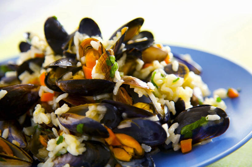 海鲜,无人,横图,俯视,室内,特写,白天,白色背景,餐桌,桌子,贝壳,餐具,一堆,许多,阴影,堆叠,堆积,朦胧,模糊,反射,碟子,盘,影子,谷类,谷物,米,水产,大米,海洋生物,一个,蓝色,白色,盘子,碟,摄影,影棚,单个,餐台,堆,水生动物,海产品,贻贝,水生物,海底动物,海虹,淡菜,壳菜,青口,彩图,高角度拍摄,影棚拍摄,拍摄