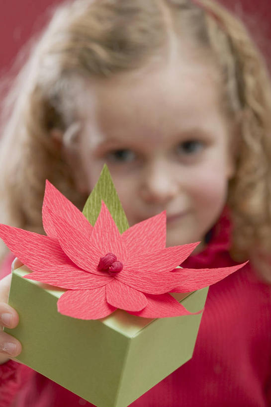 西方人,儿童,脸,头,脸颊,手,头发,一个人,站,竖图,室内,特写,白天,正面,纯洁,礼盒,礼物,欧洲,欧洲人,仅一个女性,仅一个人,握,阴影,红色背景,服装,朦胧,模糊,盛开,反射,影子,纸盒,圣诞红,一品红,花蕾,注视,休闲装,肩膀,盒子,花,花瓣,花朵,鲜花,一朵,小孩,衣服,红色,包装盒,礼品盒,花苞,花蕊,圣诞花,观察,看,站着,仅一个小孩,休闲,手部,休闲服,金色,可爱,童年,童趣,握着,摄影,服饰,礼品,猩猩木,影棚,观看,绿洲,单手,察看,关注,童真,烂漫,无邪,天真,女孩,女人,女性,白种人,孩子,头部,长发,卷发,脸部,脸蛋,面部,站立,半身,彩图,影棚拍摄,拍摄,女生