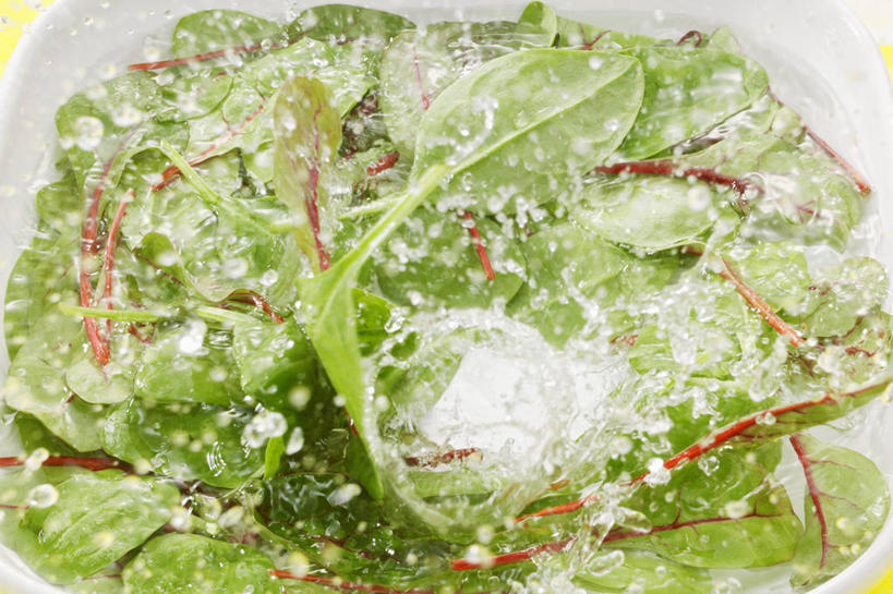 无人,横图,俯视,室内,特写,白天,水,餐桌,桌子,菠菜,蔬菜,一堆,许多,阴影,堆叠,堆积,飞溅,新鲜,溅,反射,液体,影子,陶瓷,水滴,食品,陶瓷制品,水珠,食物,一个,白色,容器,碗,有机食品,绿色食品,单个,餐台,储藏,堆,储存,喷洒,鹦鹉菜,鼠根菜,角菜,红嘴绿鹦哥,赤根菜,菠薐菜,波斯草,清洗,彩图,高角度拍摄,贮存