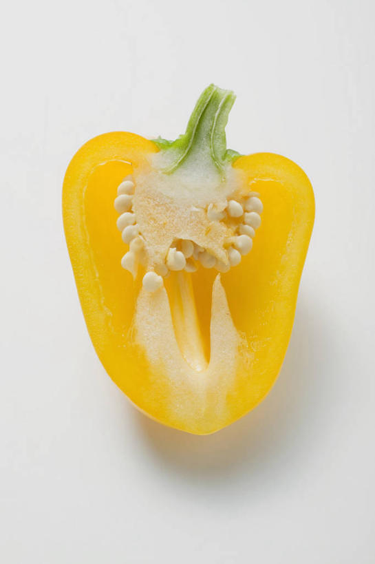 无人,竖图,俯视,室内,特写,白天,白色背景,餐桌,桌子,辣椒,蔬菜,阴影,新鲜,反射,影子,食品,食物,一个,黄色,摄影,有机食品,绿色食品,影棚,单个,餐台,横截面,剖面,彩椒,辣角,红海椒,大椒,辣虎,广椒,截面,截面图形,甜椒,柿子椒,辣子,海椒,番椒,灯笼椒,彩图,高角度拍摄,影棚拍摄,拍摄