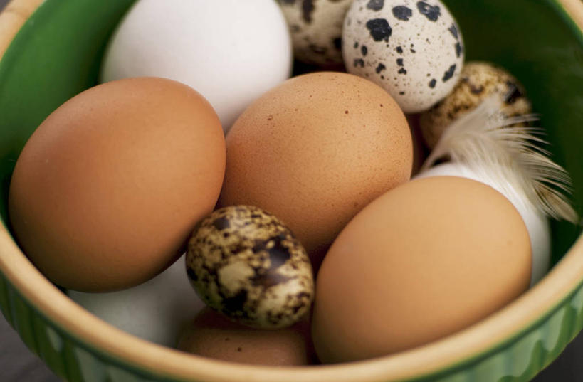 无人,横图,俯视,室内,特写,白天,餐桌,桌子,羽毛,一堆,许多,阴影,堆叠,堆积,轻盈,柔软,反射,影子,陶瓷,蛋,鸡蛋,陶瓷制品,鹌鹑蛋,一个,容器,碗,单个,餐台,储藏,堆,储存,轻柔,卵,鹌鹑卵,鹑鸟蛋,彩图,高角度拍摄,贮存