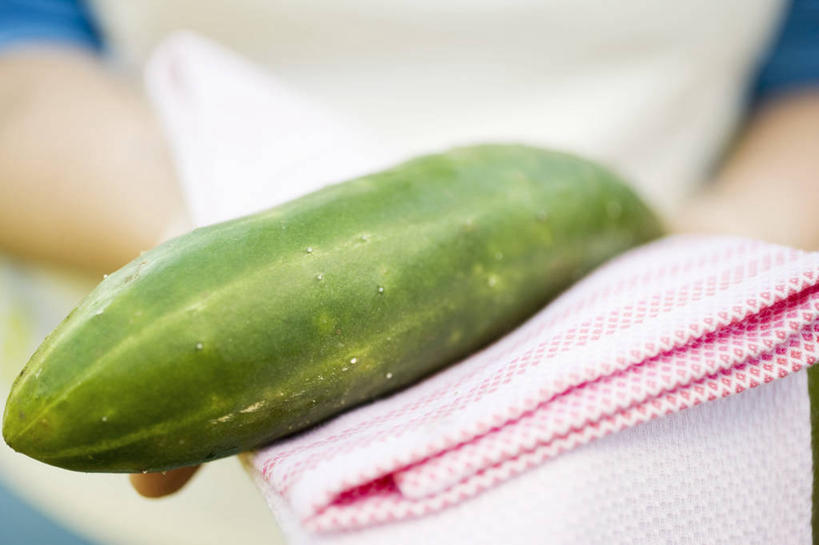 西方人,一个人,捧,横图,俯视,室内,特写,白天,黄瓜,蔬菜,欧洲,欧洲人,仅一个年轻女性,仅一个女性,仅一个人,阴影,服装,朦胧,模糊,新鲜,反射,布料,影子,食品,布纹,休闲装,桌布,食物,一个,衣服,餐巾,台布,休闲,休闲服,服饰,有机食品,绿色食品,单个,年轻女性,女人,女性,白种人,青瓜,胡瓜,端,端着,捧着,手捧,半身,彩图,高角度拍摄