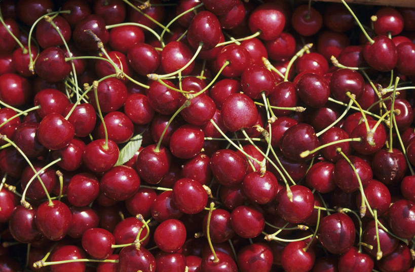 无人,横图,俯视,室内,特写,白天,兴奋,热情,樱桃,水果,一堆,许多,堆叠,堆积,新鲜,生食,食品,果实,开放,食物,红色,健康,温暖,奔放,活力,积极,激情,朝气,有机食品,绿色食品,堆,暖色,吉祥,生命,饱满,革命,热烈,赤色,充实,斗志,喜气,主动,樱珠,莺桃,英桃,楔桃,牛桃,荆桃,彩图,高角度拍摄,欢乐