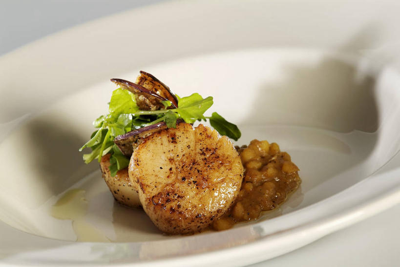 海鲜,无人,横图,俯视,室内,特写,白天,白色背景,烹饪,西餐,植物,桌面,桌子,蔬菜,餐具,叶子,阴影,新鲜,反射,木制,碟子,盘,纹理,影子,料理,食品,绿叶,扇贝,水产,菜肴,美食,海洋生物,食物,一个,绿色,盘子,木制品,碟,嫩叶,西式,摄影,佳肴,有机食品,绿色食品,影棚,单个,水生动物,海产品,水生物,海底动物,肌理,叶,叶片,叶脉,彩图,高角度拍摄,影棚拍摄,拍摄