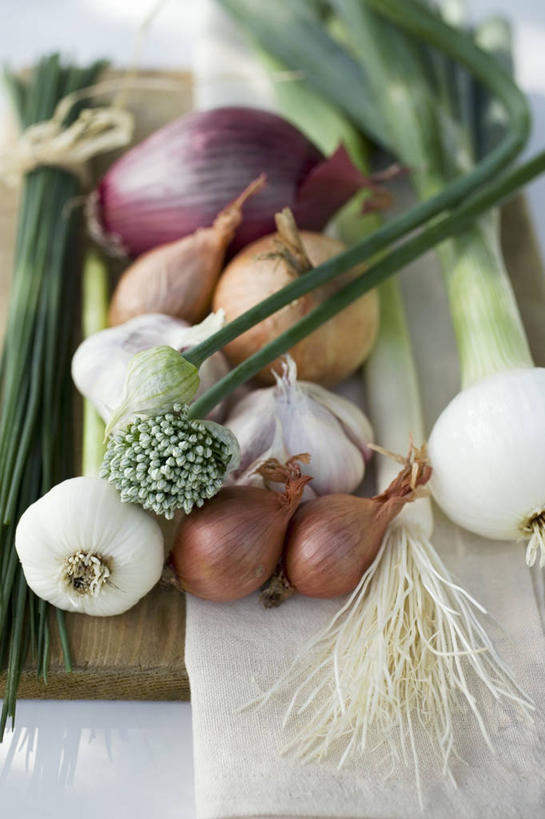 无人,竖图,俯视,室内,特写,白天,植物,桌面,桌子,蔬菜,蒜,洋葱,阴影,新鲜,反射,木制,影子,葱,食品,草药,药草,案板,蒜头,中药,砧板,食物,绿色,自然,木制品,有机食品,绿色食品,生长,成长,细香葱,香葱,玉葱,药材,中草药,中药材,本草,胡蒜,圆葱,洋葱头,球葱,大蒜,葱头,彩图,高角度拍摄,红洋葱