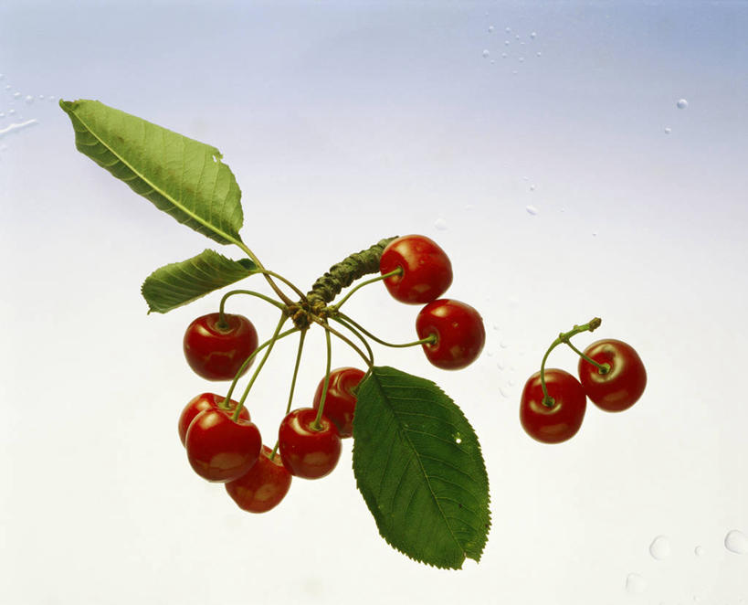 无人,横图,俯视,室内,特写,白天,植物,桌面,桌子,樱桃,水果,叶子,阴影,新鲜,反射,木制,纹理,影子,生食,食品,果实,绿叶,食物,红色,绿色,木制品,嫩叶,摄影,有机食品,绿色食品,影棚,肌理,叶,叶片,叶脉,樱珠,莺桃,英桃,楔桃,牛桃,荆桃,彩图,高角度拍摄,影棚拍摄,拍摄