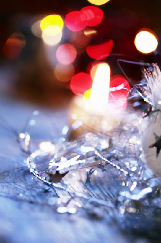 无人,竖图,室内,特写,白天,正面,植物,照明,圣诞节,阴影,节日,朦胧,模糊,庆祝,光线,彩灯,影子,灯光,圣诞树,文化,灯,树,树木,绿色,自然,灯具,庆典,花灯,生长,成长,纪念,照亮,照明设备,彩图