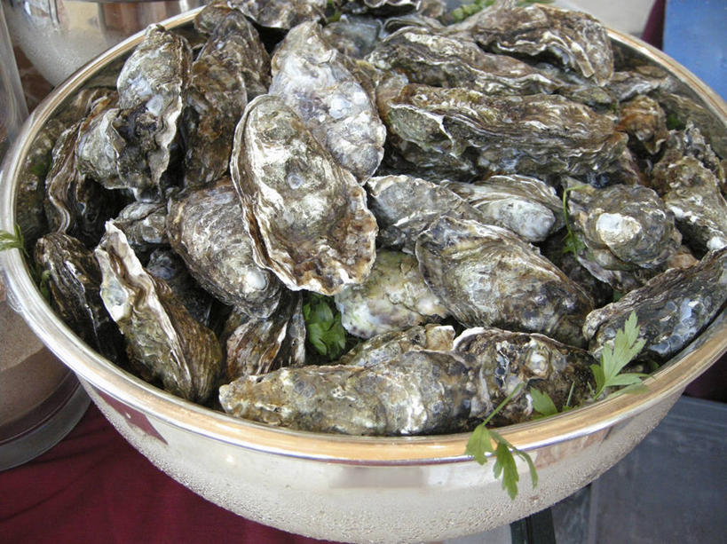 海鲜,无人,横图,俯视,室内,特写,白天,桌面,桌子,叶子,一堆,许多,阴影,堆叠,堆积,反射,木制,影子,陶瓷,绿叶,陶瓷制品,牡蛎,很多,水产,海洋生物,一个,木制品,容器,碗,嫩叶,单个,储藏,堆,生蚝,储存,水生动物,海产品,水生物,海底动物,叶,叶片,彩图,高角度拍摄,贮存