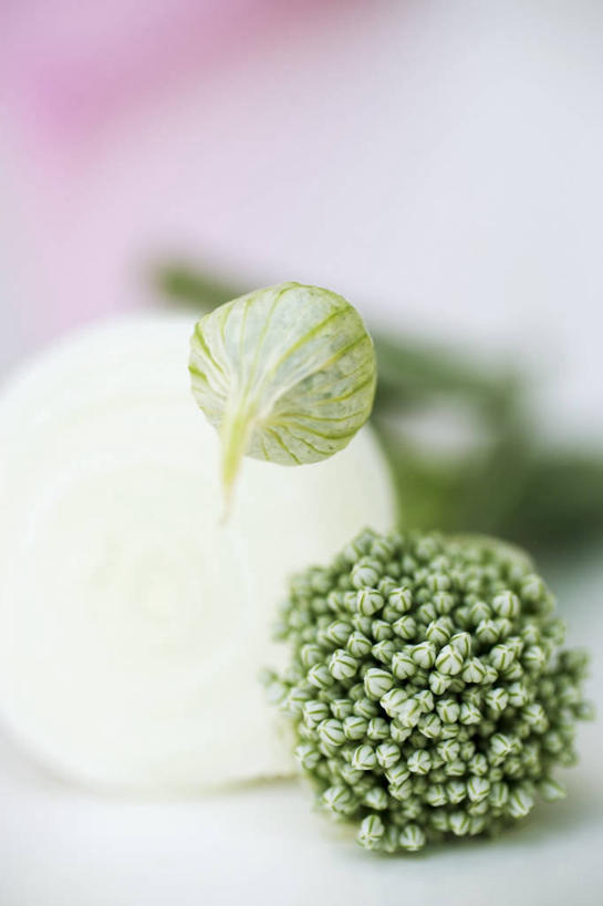 无人,竖图,俯视,室内,特写,白天,桌面,桌子,蔬菜,洋葱,阴影,朦胧,模糊,新鲜,盛开,反射,木制,影子,韭菜,食品,花蕾,花,花瓣,花朵,鲜花,食物,木制品,花苞,花蕊,有机食品,绿色食品,玉葱,起阳草,韭,山韭,长生韭,圆葱,洋葱头,球葱,葱头,彩图,高角度拍摄