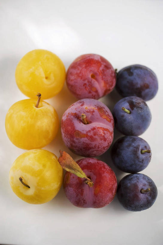 无人,竖图,俯视,室内,特写,白天,白色背景,桌面,桌子,李子,水果,一排,许多,阴影,新鲜,整齐,并列,并排,反射,木制,影子,生食,食品,果实,很多,食物,排列,黄色,红色,紫色,木制品,摄影,有机食品,绿色食品,影棚,队列,平行,红李,鸡血李,杏李,彩图,高角度拍摄,影棚拍摄,拍摄