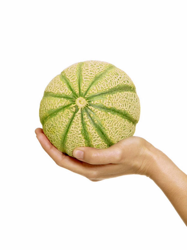 西方人,手,一个人,捧,竖图,室内,特写,白天,白色背景,侧面,水果,欧洲,欧洲人,仅一个年轻女性,仅一个女性,仅一个人,新鲜,哈密瓜,生食,食品,果实,甜瓜,食物,一个,手部,摄影,有机食品,绿色食品,影棚,单个,单手,网纹瓜,甘瓜,年轻女性,女人,女性,白种人,端,端着,捧着,手捧,半身,彩图,影棚拍摄,拍摄