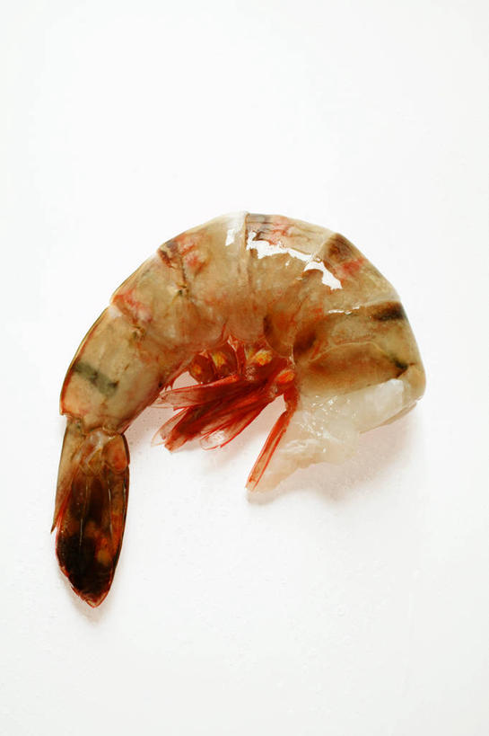 海鲜,无人,竖图,俯视,室内,特写,白天,白色背景,桌面,桌子,阴影,反射,木制,影子,虾,水产,大虾,海洋生物,一个,木制品,摄影,影棚,对虾,单个,水生动物,海产品,水生物,海底动物,斑节虾,东方对虾,中国对虾,彩图,高角度拍摄,影棚拍摄,拍摄