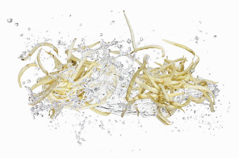 无人,横图,俯视,室内,特写,白天,白色背景,蔬菜,飞溅,新鲜,溅,液体,水滴,豆芽,食品,水珠,食物,摄影,有机食品,绿色食品,影棚,喷洒,下降,降落,豆芽菜,芽苗菜,降低,下跌,下落,彩图,高角度拍摄,影棚拍摄,拍摄