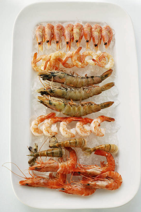 海鲜,无人,竖图,俯视,室内,特写,白天,白色背景,桌面,桌子,餐具,一排,阴影,整齐,并列,并排,反射,木制,碟子,盘,影子,冰,虾,冰块,冷冻,水产,大虾,海洋生物,排列,一个,盘子,木制品,碟,寒冷,摄影,影棚,对虾,冷藏,单个,冰冷,队列,水生动物,海产品,平行,水生物,海底动物,斑节虾,保鲜,东方对虾,中国对虾,彩图,高角度拍摄,影棚拍摄,拍摄