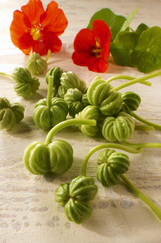 无人,竖图,俯视,室内,特写,白天,桌面,桌子,芹菜,蔬菜,阴影,新鲜,盛开,反射,木制,影子,食品,花蕾,花,花瓣,花朵,鲜花,食物,红色,木制品,花苞,花蕊,有机食品,绿色食品,旱金莲,金莲花,根芹菜,根洋芹,球根塘蒿,寒金莲,旱荷,旱莲花,金钱莲,大红雀,药芹,水芹,旱芹,彩图,高角度拍摄