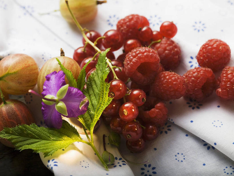 无人,横图,俯视,室内,特写,白天,植物,桌面,桌子,浆果,水果,叶子,阴影,新鲜,盛开,反射,木制,纹理,影子,灯笼果,生食,食品,果实,绿叶,花蕾,花,花瓣,花朵,鲜花,食物,绿色,木制品,花苞,花蕊,嫩叶,有机食品,绿色食品,山莓,树莓,红醋栗,三月泡,四月泡,山抛子,刺葫芦,悬钩子,馒头菠,高脚菠,龙船泡,泡儿刺,肌理,叶,叶片,叶脉,醋栗,彩图,高角度拍摄