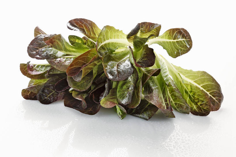 无人,横图,俯视,室内,特写,白天,白色背景,玉米,餐桌,桌子,蔬菜,新鲜,棒子,莴苣,莴笋,玉蜀黍,生食,蔬菜沙拉,沙拉,食品,色拉,沙律,食物,摄影,有机食品,绿色食品,影棚,餐台,色拉酱,苞米,千岛酱,苞芦,苞谷,香笋,千金菜,包谷,大蜀黍,番麦,薏米包,玉高粱,玉麦,珍珠米,彩图,高角度拍摄,影棚拍摄,拍摄