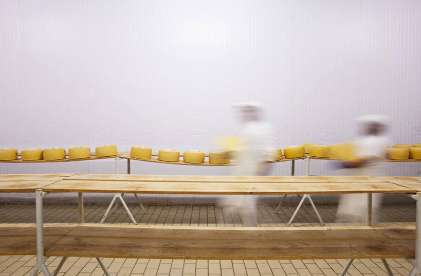 奶酪,西方人,两个人,伙伴,朋友,工厂,站,搬运,横图,室内,白天,正面,工作服,制服,友谊,合作,团队,欧洲,欧洲人,一排,许多,握,朦胧,模糊,整齐,传输,墙,干酪,起司,芝士,营养,拿,拿着,注视,墙壁,墙面,排列,工人,白色,观察,看,站着,乳酪,战略,握着,运输,观看,传送带,察看,便利,乳制品,传送,队列,关注,载具,发酵,传输带,联合,合谋,方便,工作制服,配合,协作,男人,男性,年轻男性,白种人,站立,半身,彩图,工作套服,工地,制造厂