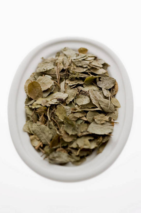 无人,竖图,俯视,室内,特写,白天,白色背景,餐桌,桌子,餐具,叶子,一堆,许多,堆叠,堆积,碟子,盘,绿叶,盘子,碟,嫩叶,摄影,影棚,餐台,堆,叶,叶片,彩图,高角度拍摄,影棚拍摄,拍摄