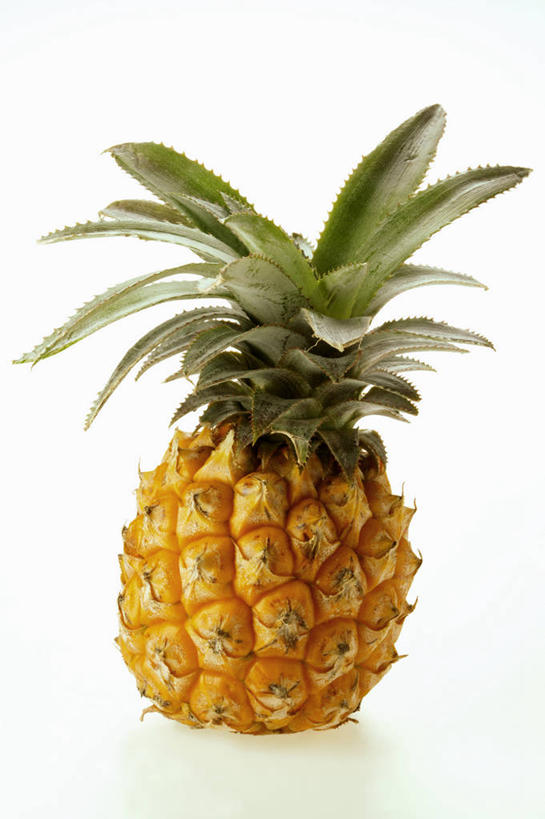 无人,竖图,俯视,室内,特写,白天,白色背景,餐桌,桌子,菠萝,水果,叶子,新鲜,生食,食品,果实,绿叶,食物,一个,黄色,嫩叶,摄影,有机食品,绿色食品,影棚,单个,餐台,叶,叶片,凤梨,彩图,高角度拍摄,影棚拍摄,拍摄