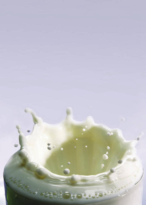 牛奶,无人,竖图,俯视,室内,特写,白天,水,杯子,飞溅,紫色背景,溅,液体,水滴,饮品,一杯,营养,玻璃制品,水珠,饮料,水杯,摄影,影棚,乳制品,奶,牛乳,喷洒,安神,玻璃杯,彩图,高角度拍摄,影棚拍摄,拍摄