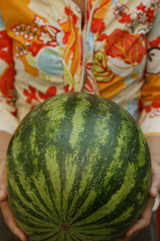 西方人,手,一个人,站,捧,竖图,俯视,室内,特写,白天,西瓜,水果,欧洲,欧洲人,双手,仅一个年轻女性,仅一个女性,仅一个人,服装,朦胧,模糊,新鲜,生食,食品,果实,休闲装,食物,一个,衣服,站着,休闲,手部,休闲服,服饰,有机食品,绿色食品,单个,年轻女性,女人,女性,白种人,寒瓜,端,端着,捧着,手捧,站立,半身,彩图,高角度拍摄