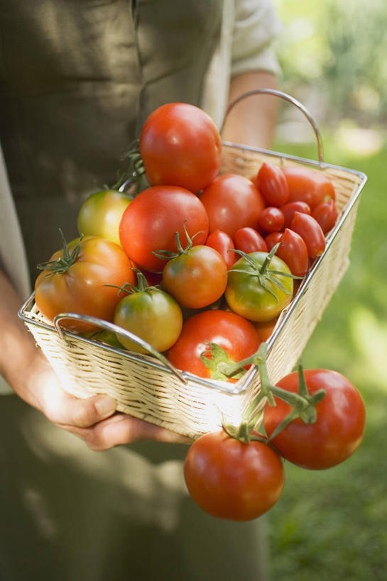 西方人,手,一个人,站,捧,交叉,竖图,俯视,室外,特写,白天,草地,草坪,植物,竹子,蔬菜,西红柿,欧洲,欧洲人,双手,仅一个年轻女性,仅一个女性,仅一个人,一堆,许多,阴影,堆叠,堆积,竹制,服装,朦胧,模糊,新鲜,编织,光线,篮子,影子,食品,休闲装,草,食物,衣服,绿色,阳光,竹篮,站着,休闲,手部,休闲服,服饰,有机食品,绿色食品,竹条,堆,交织,竹制品,穿插,年轻女性,女人,女性,白种人,番茄,端,端着,捧着,手捧,站立,半身,彩图,高角度拍摄