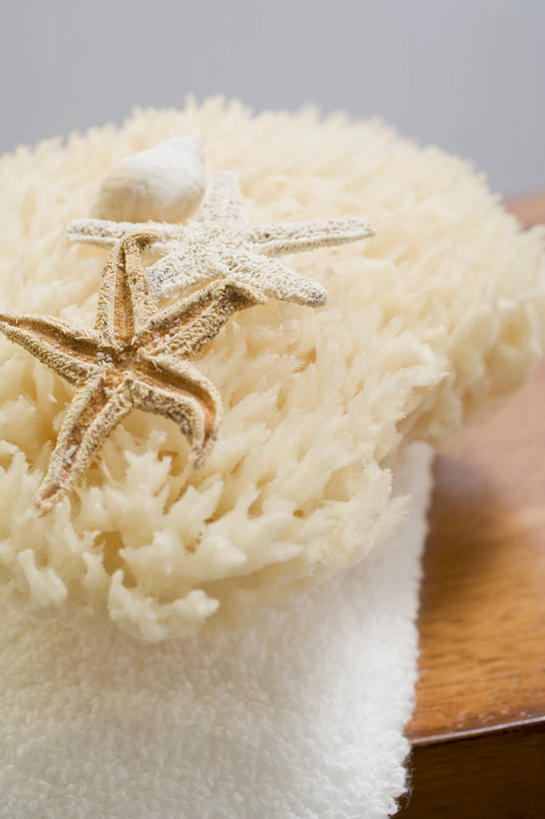 无人,竖图,俯视,室内,特写,白天,化妆,美容,桌面,桌子,海星,护肤,阴影,朦胧,模糊,反射,木制,纺织物,海绵,影子,海洋生物,一个,自然,动物,木制品,毛巾,清洁,保养,享受,休闲,生物,放松,保健,单个,保暖,透气,养颜,防水,洗脸海绵,洗脸扑,洗脸绵,储水,耐磨,吸水,棘皮动物门,星鱼,彩图,高角度拍摄