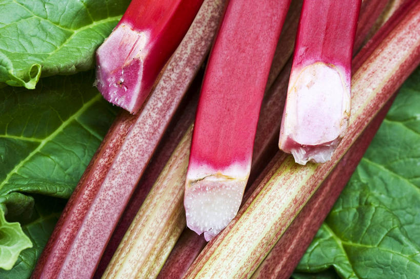 无人,横图,俯视,室内,特写,白天,植物,餐桌,桌子,蔬菜,叶子,一堆,许多,阴影,堆叠,堆积,新鲜,反射,纹理,影子,食品,绿叶,草药,药草,很多,中药,食物,红色,绿色,嫩叶,有机食品,绿色食品,餐台,堆,药材,中草药,大黄,中药材,本草,肌理,川军,蜀大黄,熟大黄,叶,叶片,叶脉,彩图,高角度拍摄