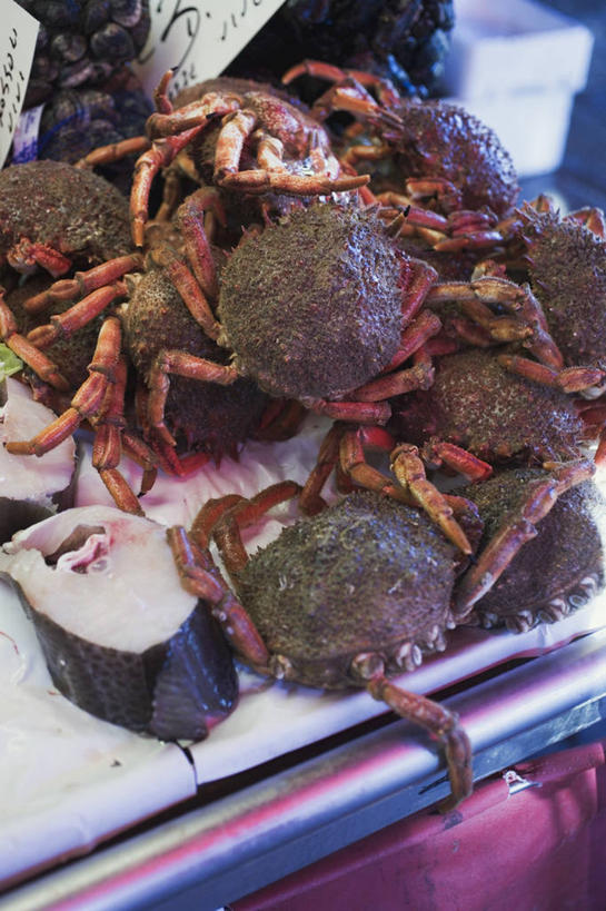 海鲜,蟹,无人,竖图,俯视,室内,特写,白天,购物,消费,餐桌,桌子,一堆,许多,阴影,堆叠,堆积,朦胧,模糊,反射,螃蟹,鱼,影子,集市,市场,很多,水产,鱼类,海洋生物,金融,餐台,堆,水生动物,海产品,水生物,选购,贸易,海底动物,彩图,高角度拍摄,鱼市